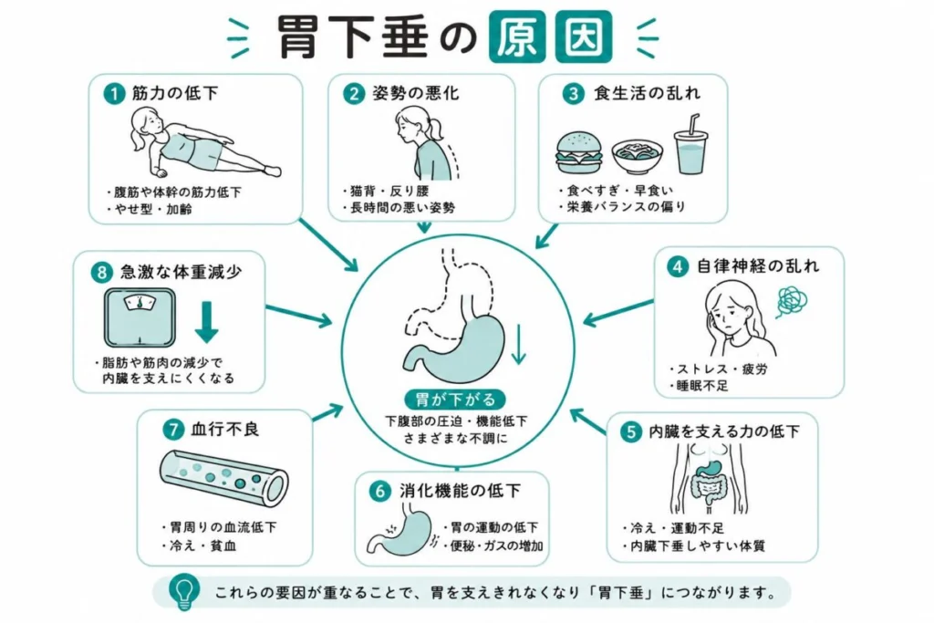 胃下垂 | 鍼灸整体SONOKA・東十条本院